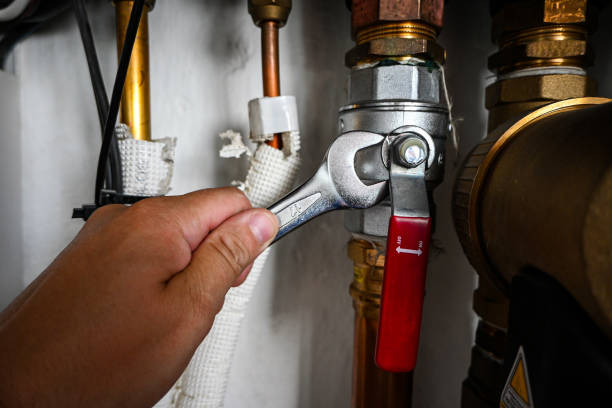 Best Residential Plumbing Services  in Forest, OH